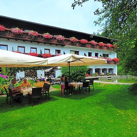 Wieselmuehle Forellenhof