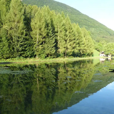 Wieselmuehle Forellenhof 3* Gruenau im Almtal