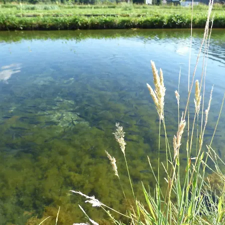 Wieselmuehle Forellenhof