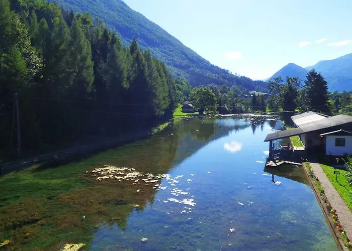 Wieselmuehle Forellenhof Bed & Breakfast 3*