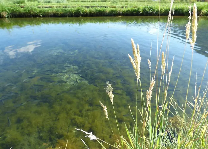 Wieselmuehle Forellenhof