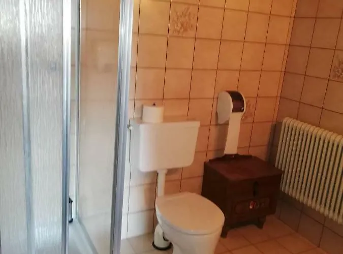 Wieselmuehle Forellenhof Oda ve Kahvaltı 3*