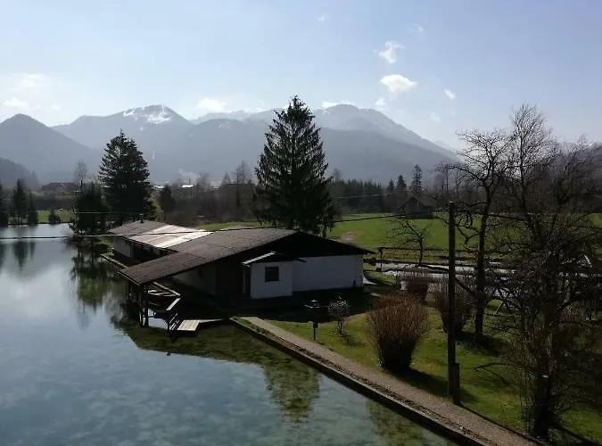 Oda ve Kahvaltı Wieselmuehle Forellenhof