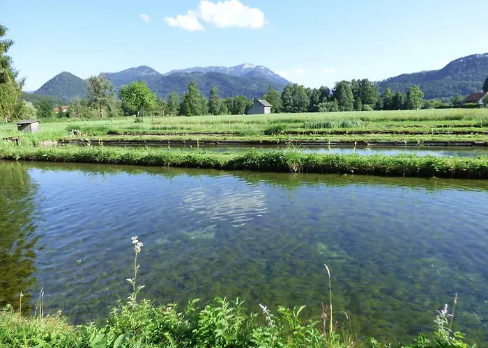 Oda ve Kahvaltı Wieselmuehle Forellenhof Grünau im Almtal